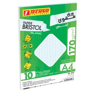 FICHE BRISTOL BLANC 05mmx05mm A4 170g PAQUET DE 10 FEUILLES "TECHNO" REF: 9448